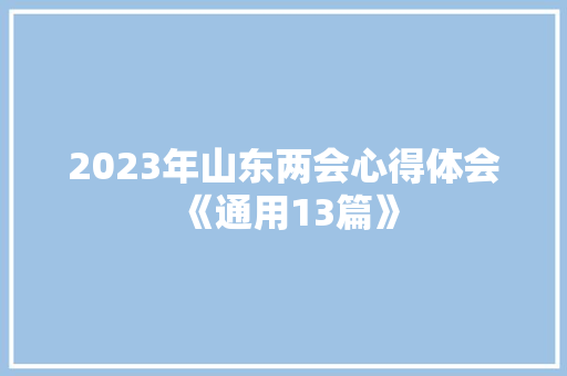 2023年山东两会心得体会《通用13篇》 担保书