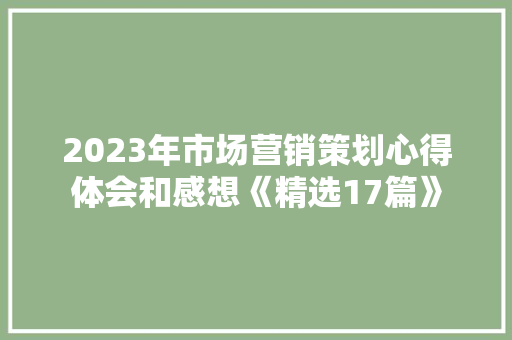 2023年市场营销策划心得体会和感想《精选17篇》 表扬书