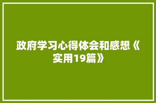 政府学习心得体会和感想《实用19篇》 文秘写作