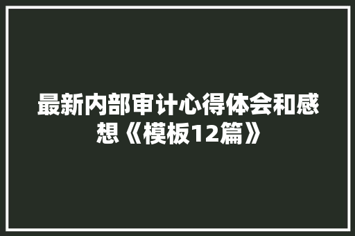 最新内部审计心得体会和感想《模板12篇》 计算机论文