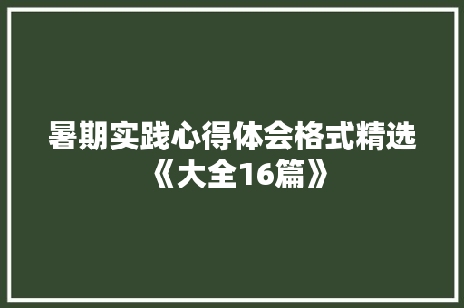 暑期实践心得体会格式精选《大全16篇》 表扬书