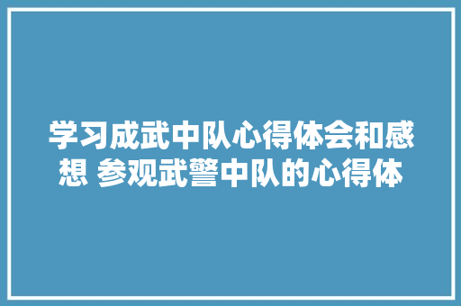 学习成武中队心得体会和感想 参观武警中队的心得体会《3篇》 论文