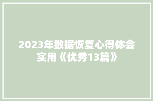 2023年数据恢复心得体会实用《优秀13篇》 承诺书