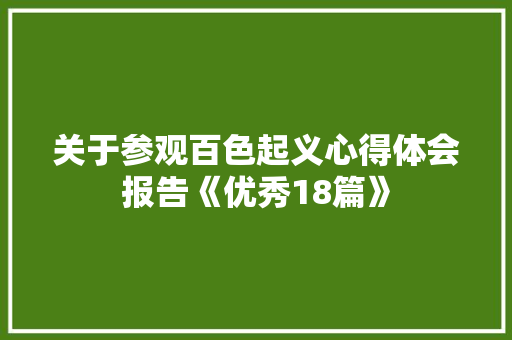 关于参观百色起义心得体会报告《优秀18篇》 承诺书