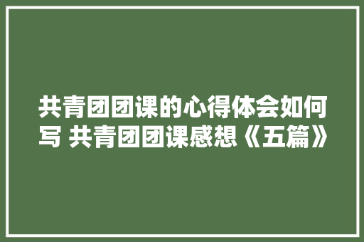 共青团团课的心得体会如何写 共青团团课感想《五篇》 策划方案