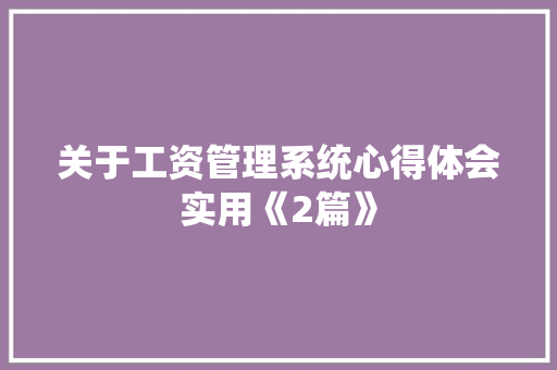 关于工资管理系统心得体会实用《2篇》 保证书