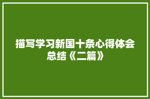 描写学习新国十条心得体会总结《二篇》 个人写作