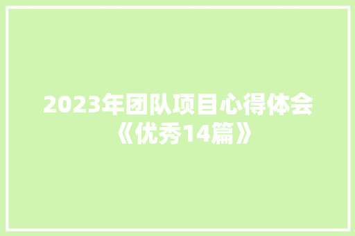 2023年团队项目心得体会《优秀14篇》 简历