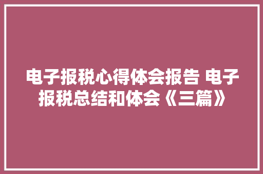 电子报税心得体会报告 电子报税总结和体会《三篇》 个人写作