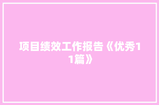 项目绩效工作报告《优秀11篇》 论文