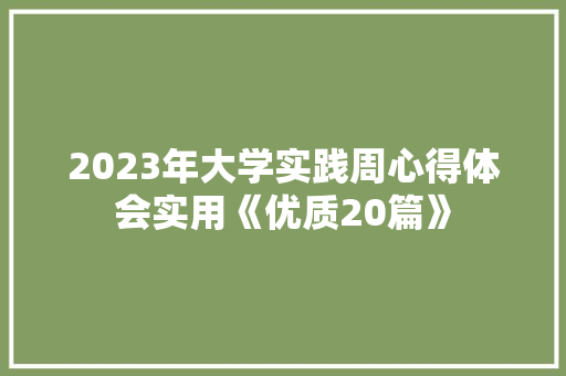 2023年大学实践周心得体会实用《优质20篇》 承诺书