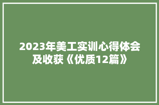 2023年美工实训心得体会及收获《优质12篇》 策划方案