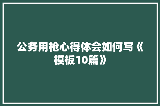 公务用枪心得体会如何写《模板10篇》 担保书