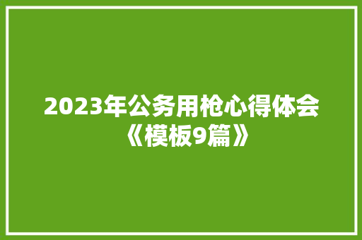 2023年公务用枪心得体会《模板9篇》 策划方案