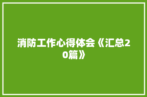 消防工作心得体会《汇总20篇》 承诺书