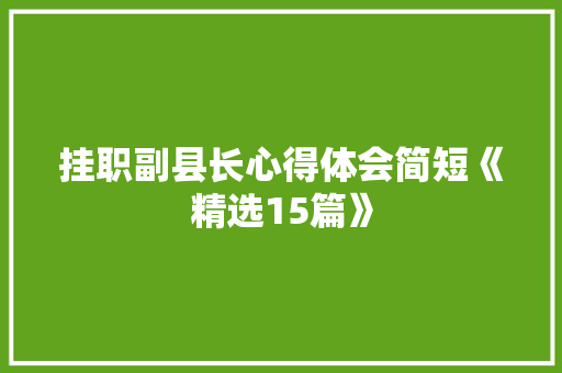 挂职副县长心得体会简短《精选15篇》 条剧书信