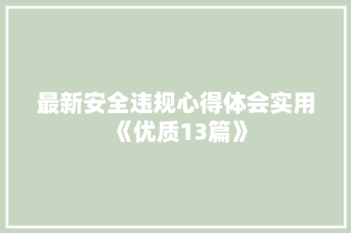 最新安全违规心得体会实用《优质13篇》 管理论文