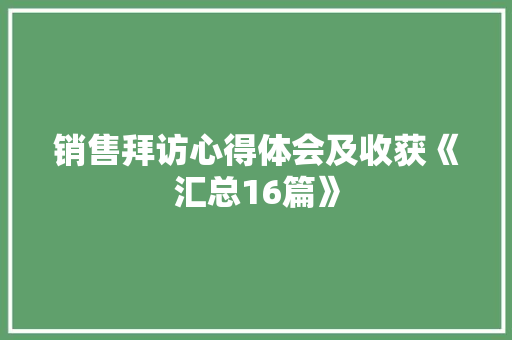 销售拜访心得体会及收获《汇总16篇》 论文