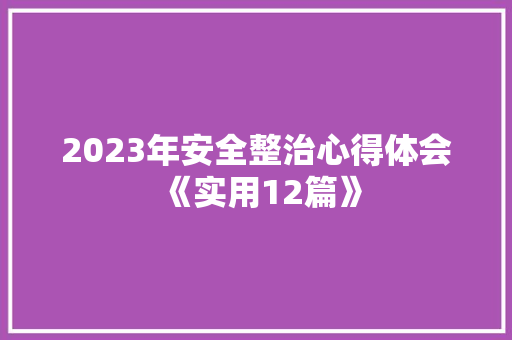 2023年安全整治心得体会《实用12篇》 个人写作