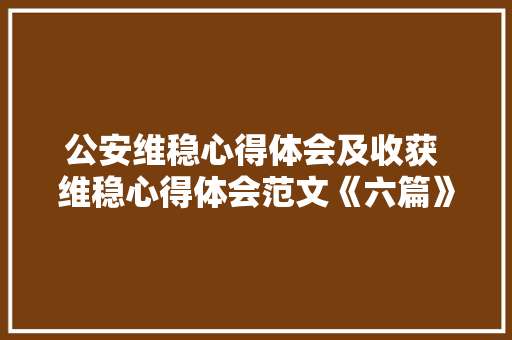 公安维稳心得体会及收获 维稳心得体会范文《六篇》 管理论文