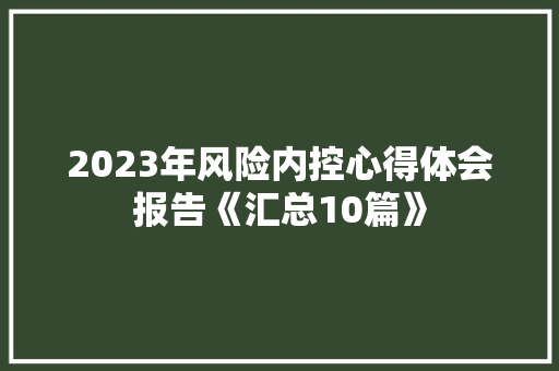 2023年风险内控心得体会报告《汇总10篇》 表扬书