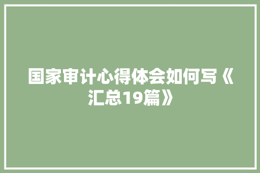 国家审计心得体会如何写《汇总19篇》 社会论文