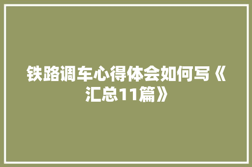 铁路调车心得体会如何写《汇总11篇》 承诺书
