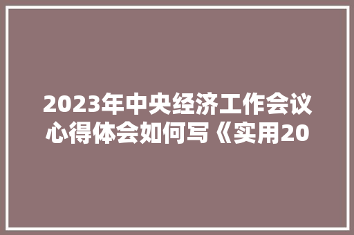 2023年中央经济工作会议心得体会如何写《实用20篇》 策划方案