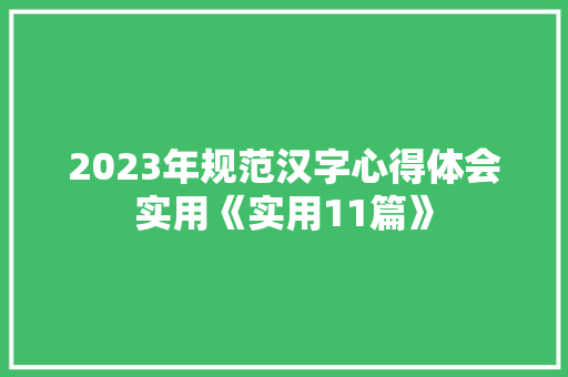 2023年规范汉字心得体会实用《实用11篇》 英文简历