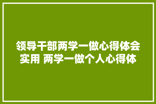领导干部两学一做心得体会实用 两学一做个人心得体会50篇《七篇》 办公写作