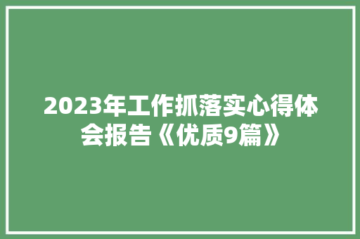 2023年工作抓落实心得体会报告《优质9篇》 公证书