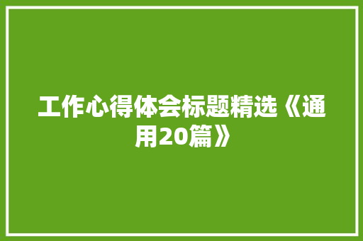 工作心得体会标题精选《通用20篇》 计算机论文