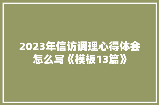 2023年信访调理心得体会怎么写《模板13篇》 策划方案
