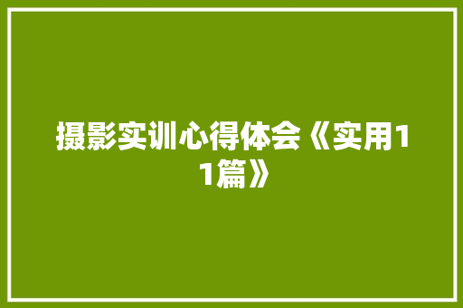 摄影实训心得体会《实用11篇》 面试技巧