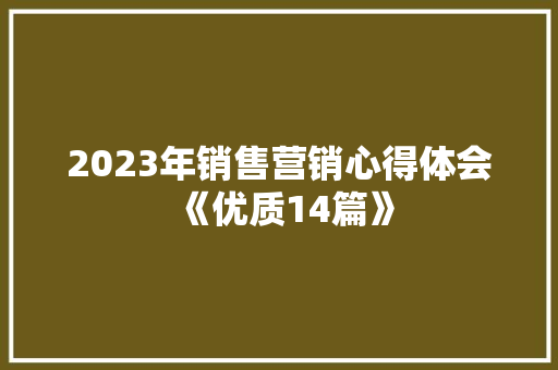2023年销售营销心得体会《优质14篇》 论文