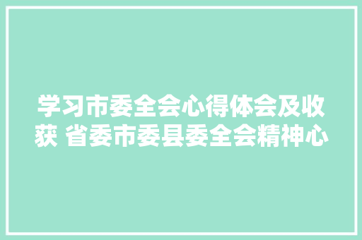 学习市委全会心得体会及收获 省委市委县委全会精神心得体会《5篇》 担保书