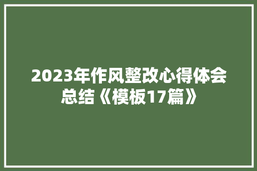 2023年作风整改心得体会总结《模板17篇》 个人简历