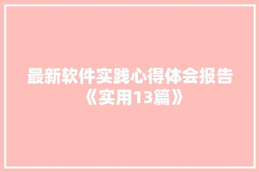 最新软件实践心得体会报告《实用13篇》 担保书