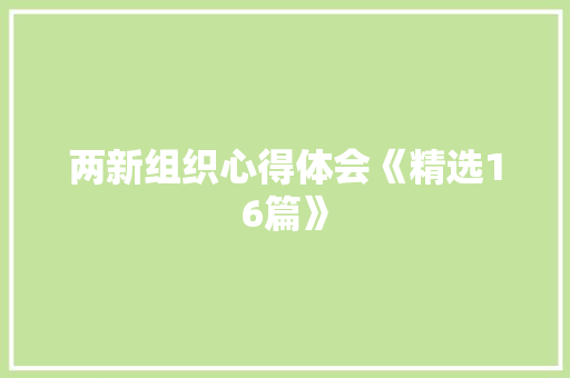 两新组织心得体会《精选16篇》 管理论文