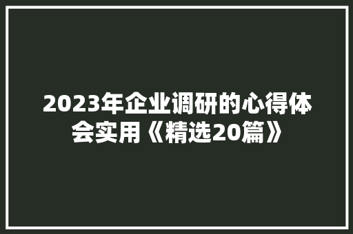 2023年企业调研的心得体会实用《精选20篇》 保证书