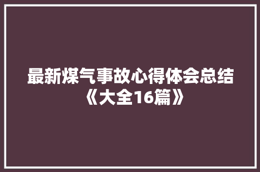 最新煤气事故心得体会总结《大全16篇》 公证书