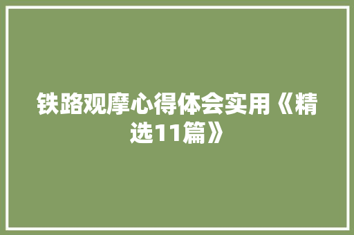 铁路观摩心得体会实用《精选11篇》 公证书
