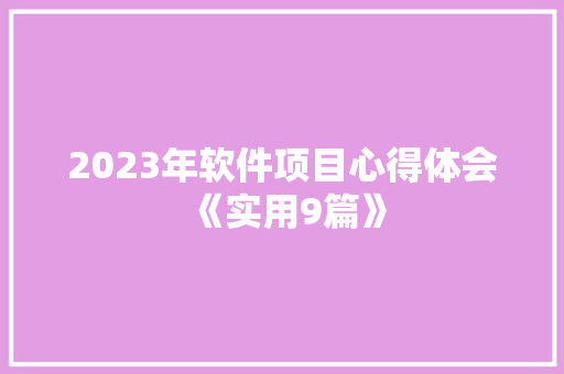 2023年软件项目心得体会《实用9篇》 计算机论文