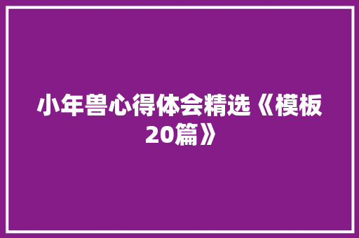 小年兽心得体会精选《模板20篇》 计算机论文