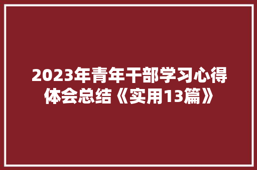 2023年青年干部学习心得体会总结《实用13篇》 面试技巧