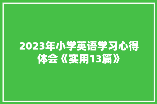 2023年小学英语学习心得体会《实用13篇》 个人简历