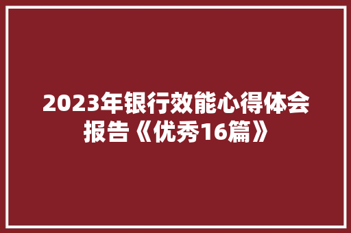 2023年银行效能心得体会报告《优秀16篇》 论文