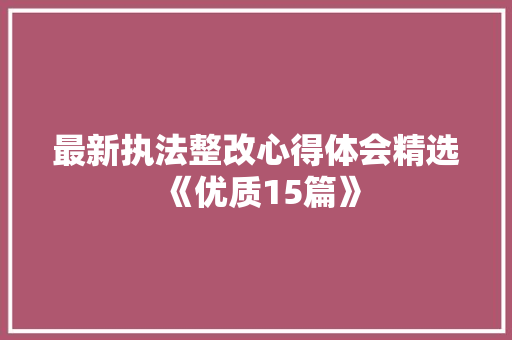 最新执法整改心得体会精选《优质15篇》 文秘写作
