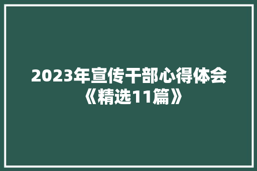 2023年宣传干部心得体会《精选11篇》 简历