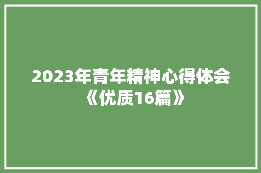 2023年青年精神心得体会《优质16篇》 计算机论文